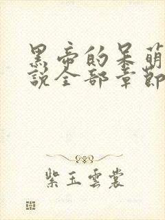 黑帝的呆萌妻小说全部章节封面