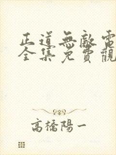 正道无敌电视剧全集免费观看高清