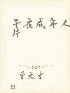 午夜成年人福利片