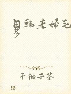 日韩老妇毛多水多封面