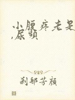 小腹疼老是放屁,尿频