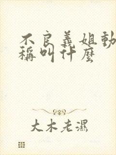 不良义姐动漫全称叫什么