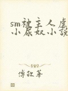 sm被主人虐玩小尿奴小说封面