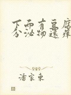 下面有豆腐渣状分泌物还痒用什么药