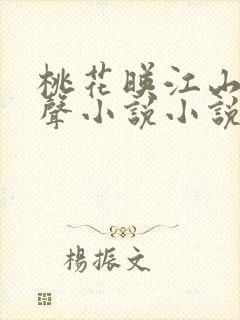 桃花映江山 有声小说小说