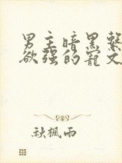 男主暗黑系占有欲强的宠文