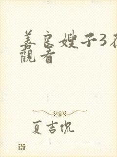 善良嫂子3在线观看封面