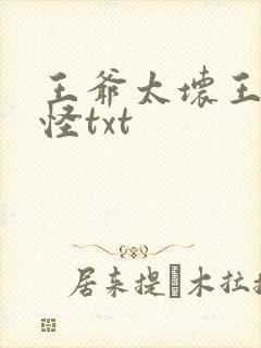 王爷太坏王妃太怪txt