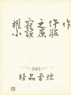 权宠之仵作医妃小说原版