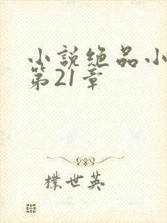 小说绝品小农民第21章