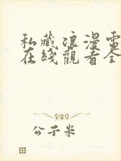 私藏浪漫电视剧在线观看全集免费播放封面