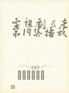 电视剧《老舅》第19集播放