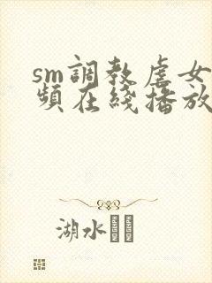 sm调教虐女视频在线播放