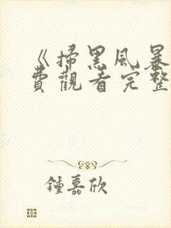 《扫黑风暴》免费观看完整版