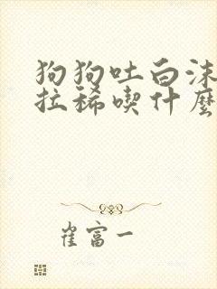 狗狗吐白沫黏液拉稀吃什么药