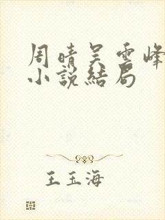 周晴吴云峰李磊小说结局封面