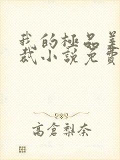 我的极品美女总裁小说免费阅