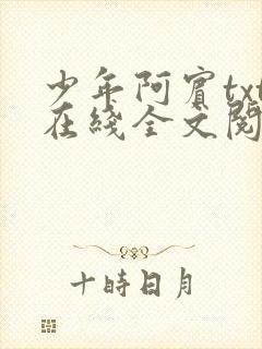 少年阿宾txt在线全文阅读