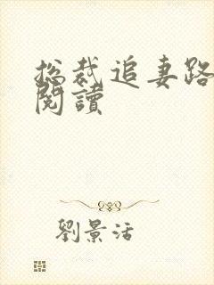 总裁追妻路漫漫阅读