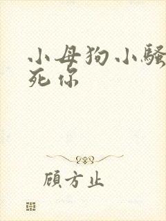小母狗小骚货操死你