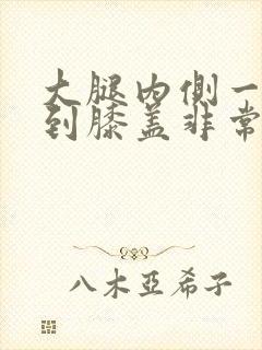 大腿内侧一根筋到膝盖非常疼怎么治