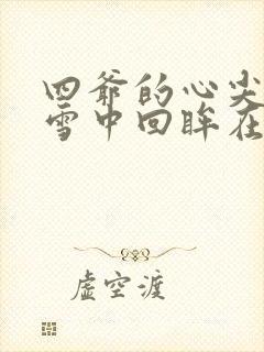 四爷的心尖宠妃雪中回眸在线小说免费