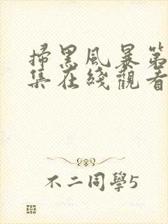 扫黑风暴第19集在线观看免费完整版