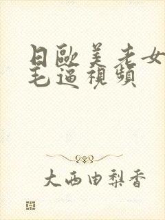 日欧美老女人的毛逼视频