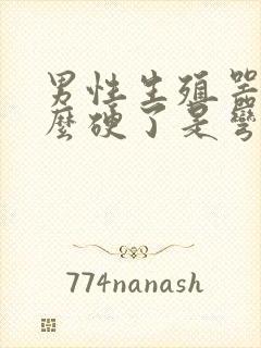 男性生殖器为什么硬了是弯的封面