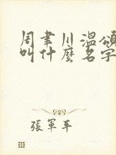 周聿川温颂小说叫什么名字