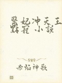 医妃冲天王爷轻点宠 小说