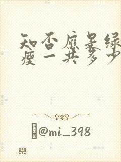 知否应是绿肥红瘦一共多少集