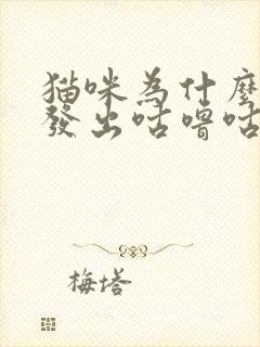 猫咪为什么一直发出咕噜咕噜的声音