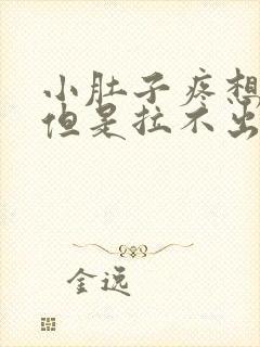 小肚子疼想拉屎但是拉不出来