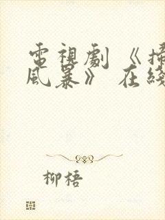 电视剧 《扫毒风暴》 在线观看封面