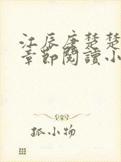 江辰唐楚楚最新章节阅读小说