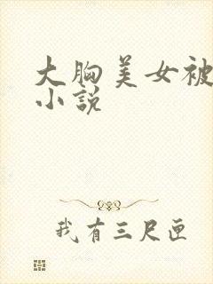 大胸美女被摸胸小说