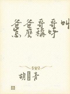 爸爸哥哥叫什么怎么称呼