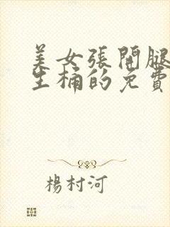 美女张开腿给男生桶的免费的视频