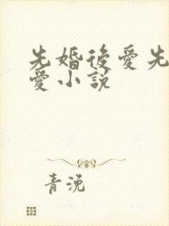 先婚后爱先婚后爱小说