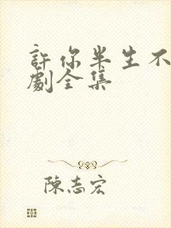 许你半生不见短剧全集