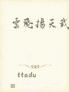 云飞扬天武神帝