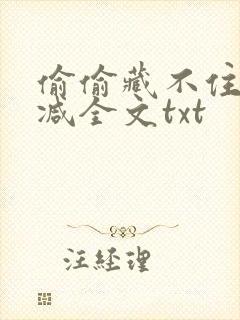 偷偷藏不住无删减全文txt