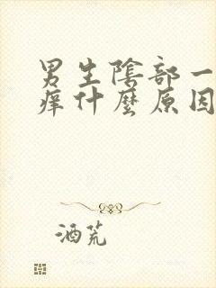 男生阴部一直瘙痒什么原因