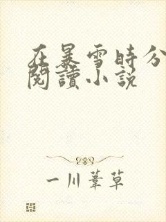 在暴雪时分免费阅读小说