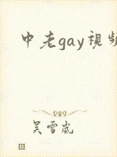 中老gay视频