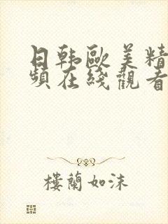 日韩欧美精品视频在线观看