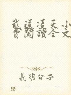 武道凌天小说免费阅读全文