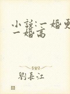 小说:一婚更比一婚高封面