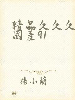 精品久久久久久国产91